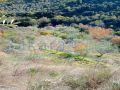 Land for sale in Barteh/ Saida
