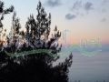 Ghedras land for sale