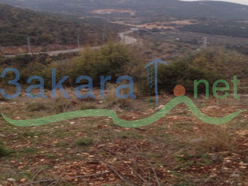 Lands For Sale in Awra, El Batroun, North, Lebanon 10141000000