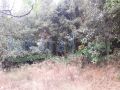 Land for sale in Al Maaysra/ Keserwan