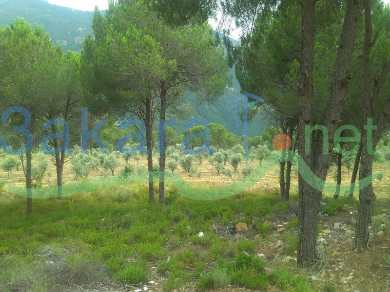 Lands For Sale in Broumana, El Meten, Mount Lebanon, Lebanon