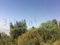 Land for sale in Bekfaya