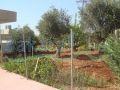 land with apartment for sale in Kfar Kahel