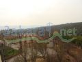 Farm 45,000 sqm including villa, factory and 100,000 tree -Zgharta