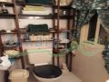 Apartment for sale or for rent in Ashrafieh