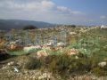 Land for sale in Al Majdal/ El Koura