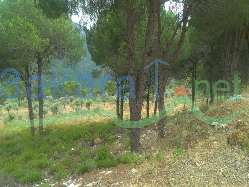 Lands For Sale in Broumana, El Meten, Mount Lebanon, Lebanon