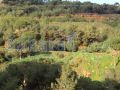Land for sale in Mkalles/ Al Mansourieh