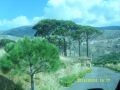 Offer for sale land in Ain Zhelta, Chouf (AK17)