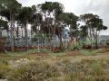 Land for sale ni Al Shbaniyeh/ Baabda