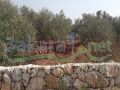 Land for sale in Bterram/ El Koura