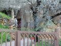 OLD HOUSE on 1030m LAND FOR SALE BKEFTIEN, ZAYTOUN TRIPOLI 
