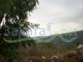 Beit Shabab Land For Sale