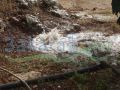 Farm 45,000 sqm including villa, factory and 100,000 tree -Zgharta