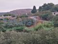 Two lands for sale in Deir Jenine/ Akkar
