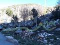 Land for sale in Aghbeh/ Raashine