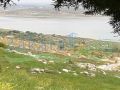 Land for sale in Aytanit/ Bekaa on Karaoun Lake