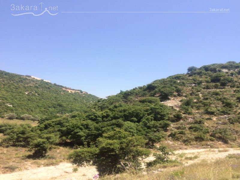 Lands For Sale in Sfar, Jbeil, Mount Lebanon, Lebanon 14793000000