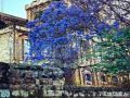 Store for sale in Ashrafieh