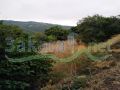Two lands for sale in Deir Jenine/ Akkar