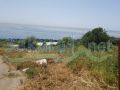 Al Rihaneh/ Jbeil land for sale