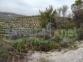 Land for sale in Bziza/ El Koura 