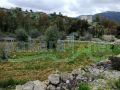 Land for sale in Beit Liff/ Bent Jbeil