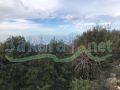 Land for sale in Ras Esta/ Jbeil