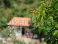 Batroun Farm