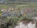 Land for sale in Bziza/ El Koura 