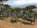 Btaybet / Baabda Land for sale