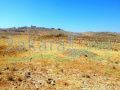 Land for sale in Shlifa/ Deir Al Ahmar