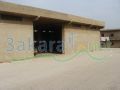 Farm 45,000 sqm including villa, factory and 100,000 tree -Zgharta