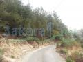 Lands for sale in Gharifeh Chouf