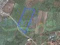 land for sale in Anfeh (T)