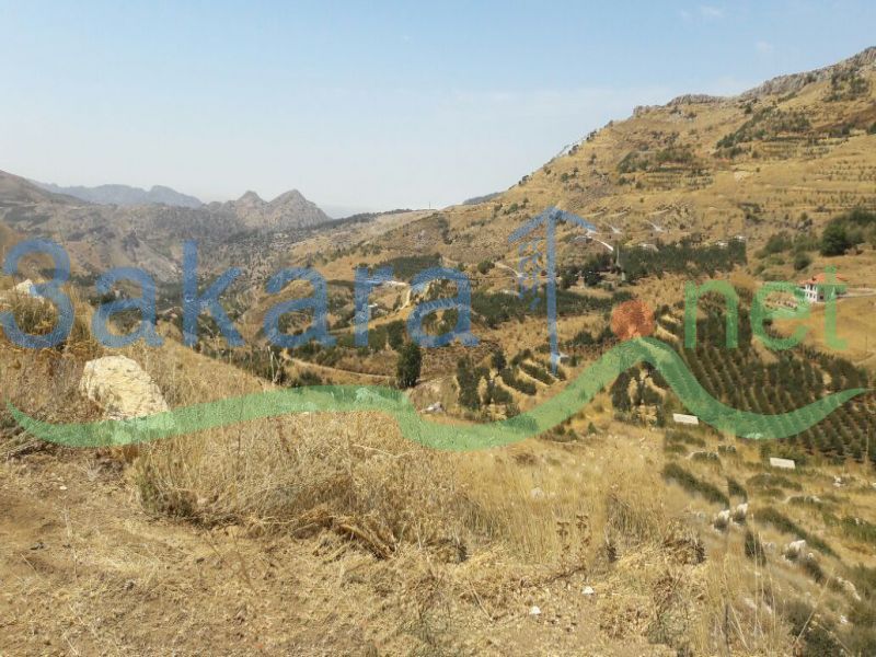 Lands For Sale in Tannourin Fawka, El Batroun, North, Lebanon