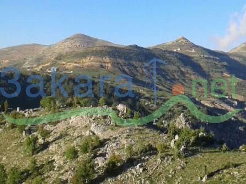 Lands For Sale in Tannourin Fawka, El Batroun, North, Lebanon 14362000000 Buy