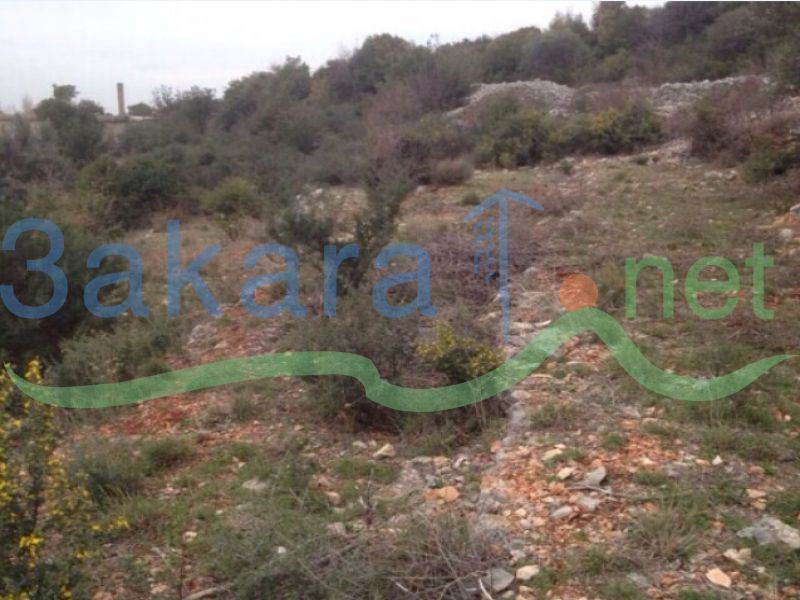 Lands For Sale in Awra, El Batroun, North, Lebanon 10141000000