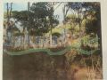Land for sale in Deir Al Harf/ Baabda