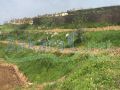 Land for sale in Mrouhin/ Sour