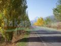 Land for sale in Ammik