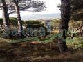 Land for sale in Kobey/ Baabda