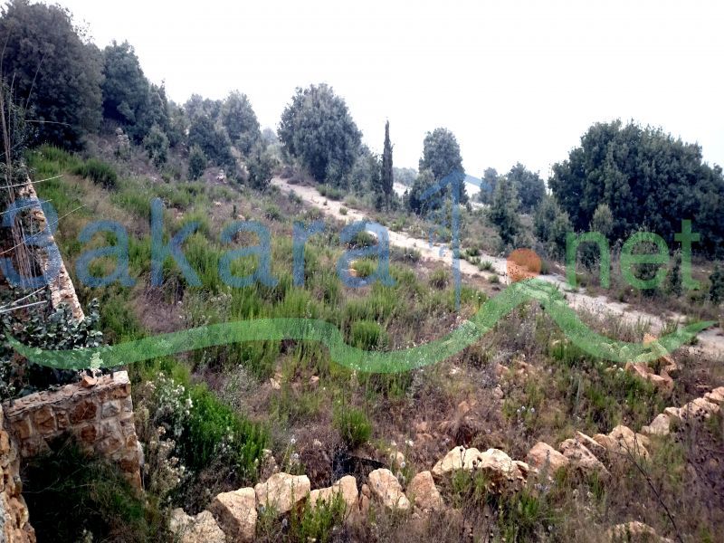 Lands For Sale in Ain Al Delbeh, Jbeil, Mount Lebanon, Lebanon