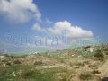Land for sale in Al Majdal/ El Koura