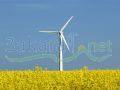 Land For Sale in Constanta/ Romania