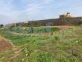 Land for sale in Mrouhin/ Sour