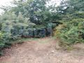 Two lands for sale in Deir Jenine/ Akkar