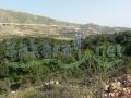 Lands for sale in Loussiya/ West Bekaa