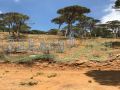 Btaybet / Baabda Land for sale