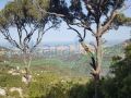 Land for sale in Ram/ Batroun